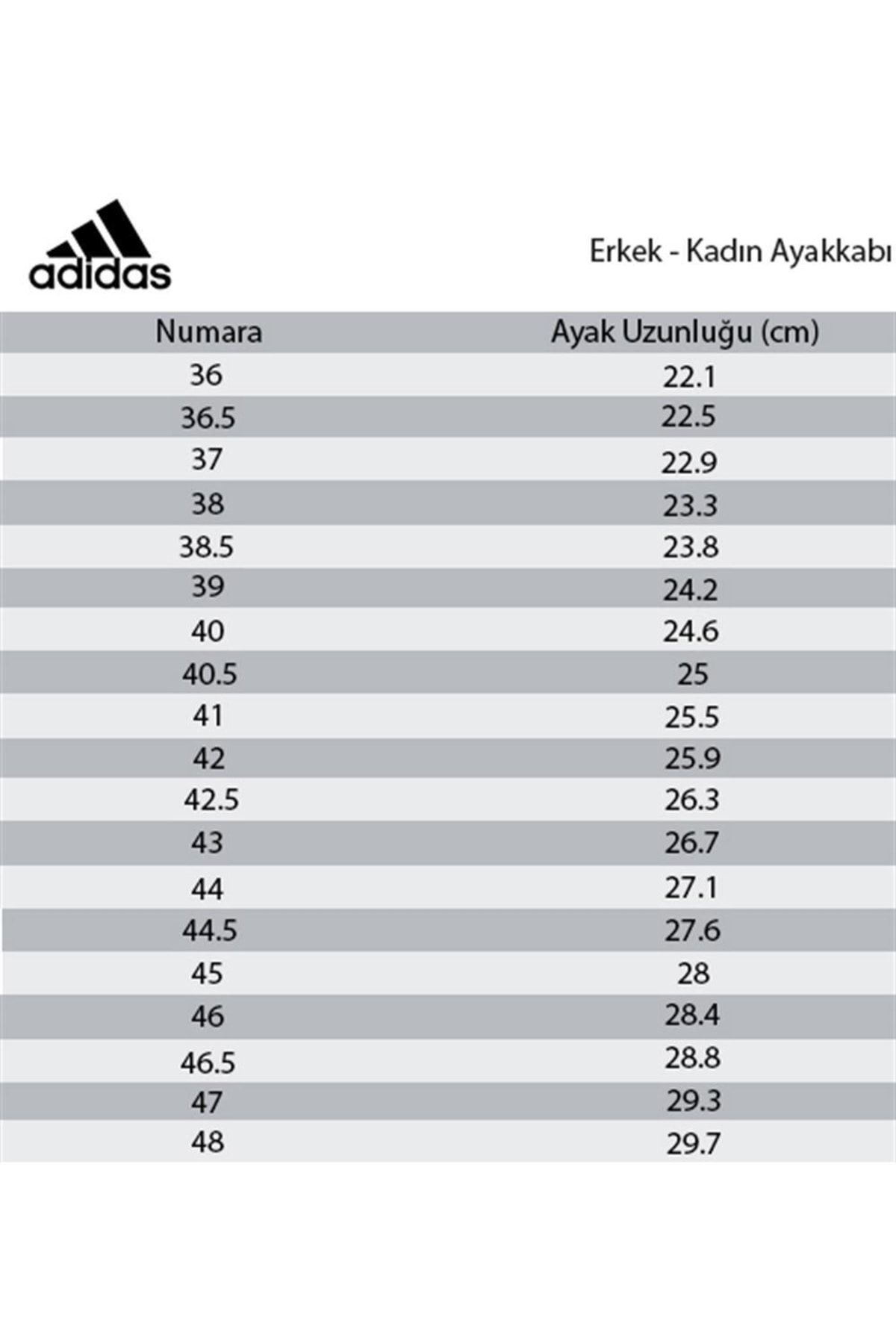 Adidas us hotsell womens shoes tallas
