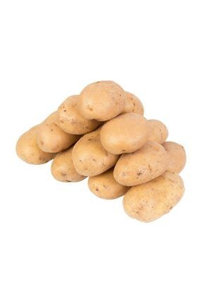 afyon siparis hollanda agria kizartmalik buyuk patates 10 kg fiyati yorumlari trendyol