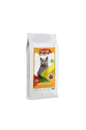 teknovet fiproes kedi ense damlasi