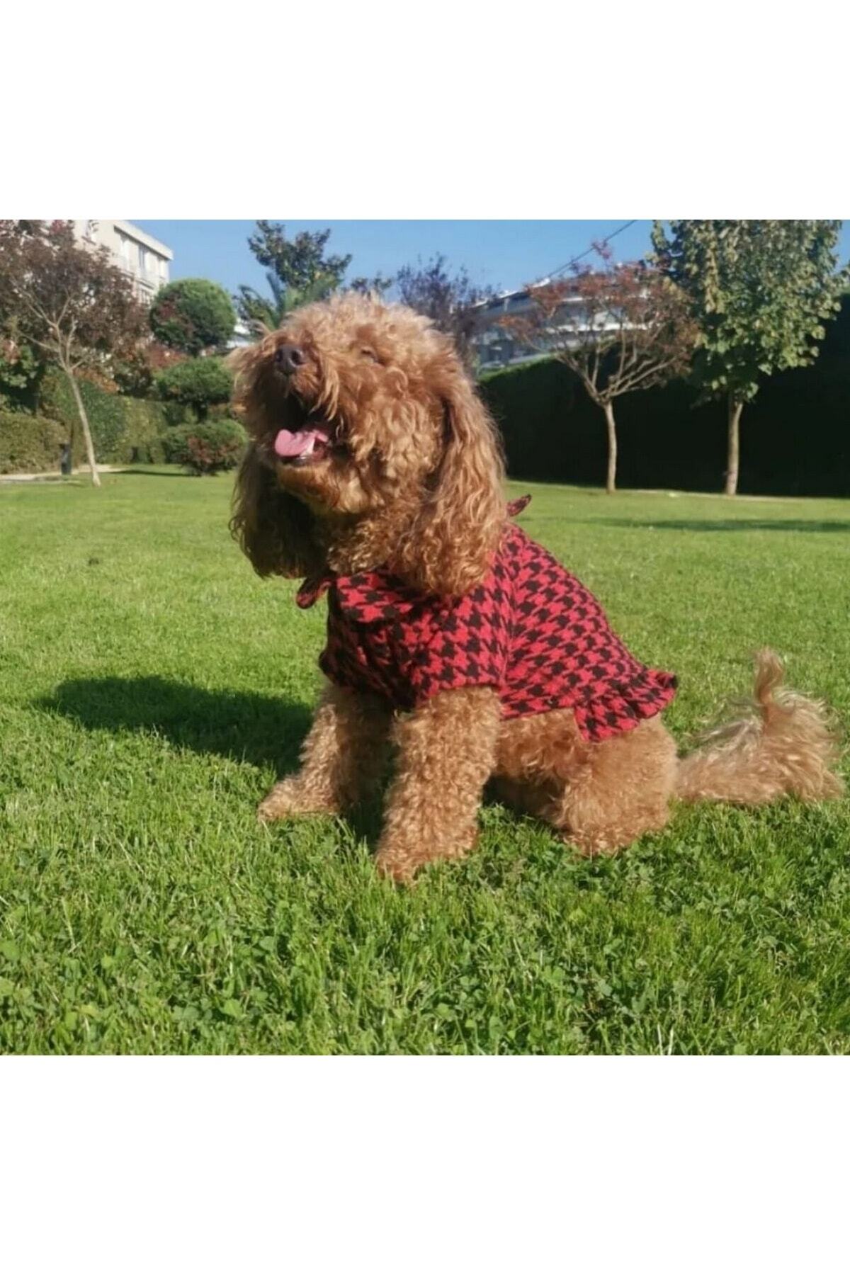 Bi Dolap Ponçik-Bi Bella Jacket Houndstooth Pattern Red Cat Dog Clothes & Jacket 3