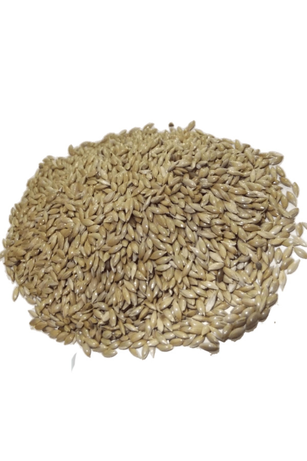 ÇIRPAN KUŞ DÜNYASI Aspur Sade Kanarya Yemi ( Elenmiş , Temizlenmiş ) 500 gr (ÖZEL VAKUMLU AMBALAJ)