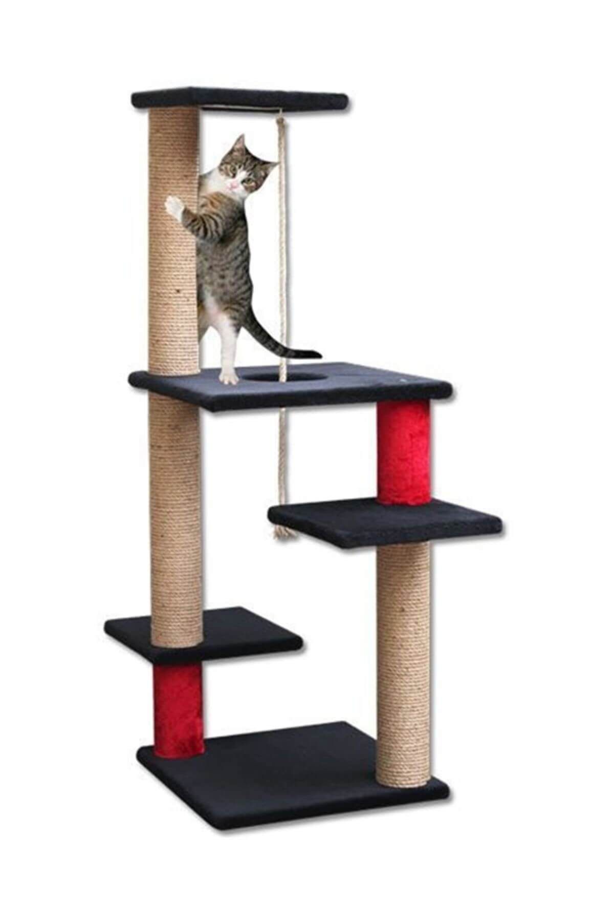 agira rita cok katli kedi tirmalama ve