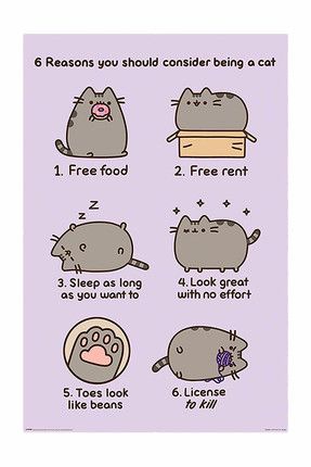 Maxi Poster Pusheen Reasons To Be A Cat 5050574342537