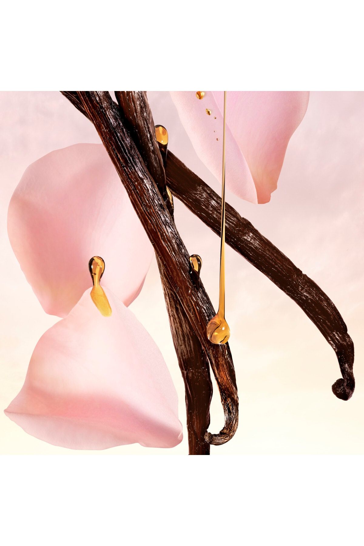 ادکلن زنانه Idôle Nectar رایحه ای گرم و عسلی 50میل لانکوم Lancome