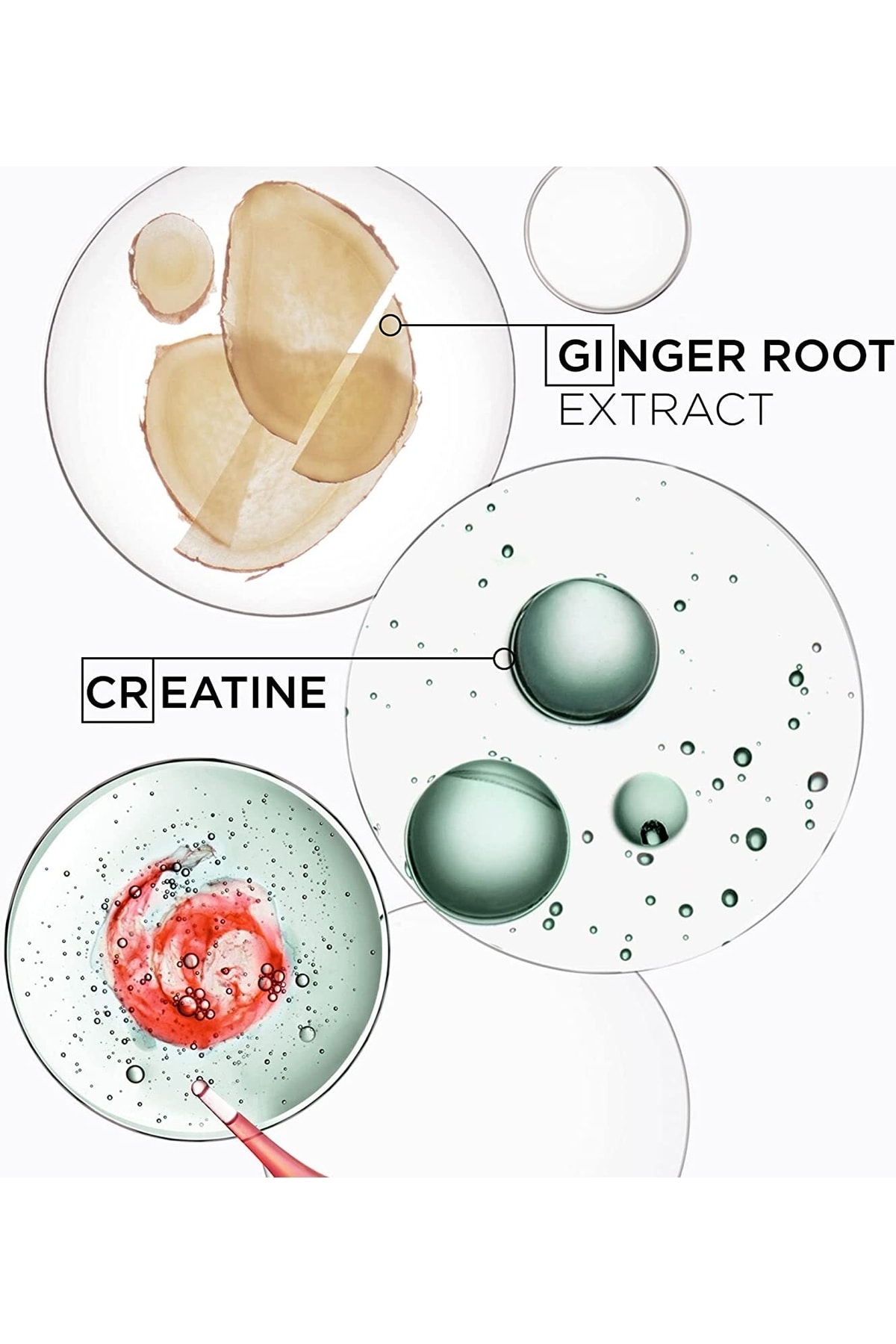 شامپو مردانه  کراستاسKerastase | HACİMVERİCİŞAMPUAN 651 اورجینال - تصویر 5