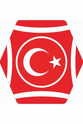 Türk Bayraklı Altıgen Plastik Çıtalı Uçurtma U101