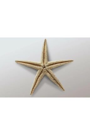 Deniz Yıldızı 15 Adet 7x10cm Süs Deniz Yıldızları Kuru Deniz Ürünleri Denizyıldızı Su Hayat AKERGERCEKDENIZYILDIZIA026