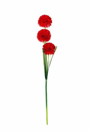 Kırmızı Çiçekli Begonya Demeti AK.BG0138-K