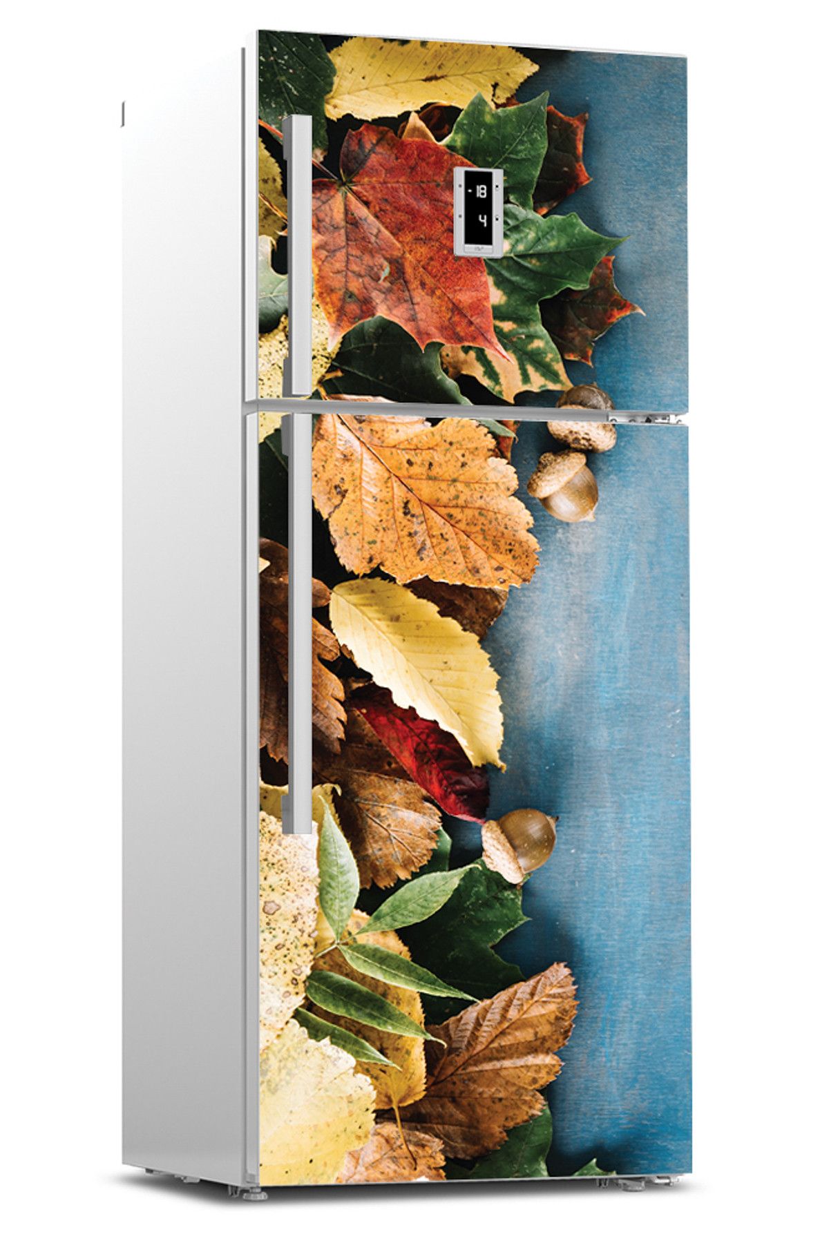 Tilki Dünyası-Refrigerator Door Covering Sticker 0136 1