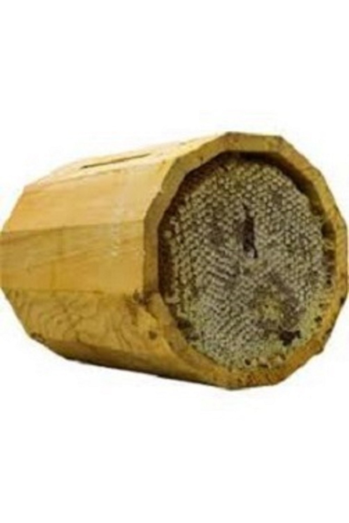 Hüdaverdi Arıcılık Kütük Ballık 2'li