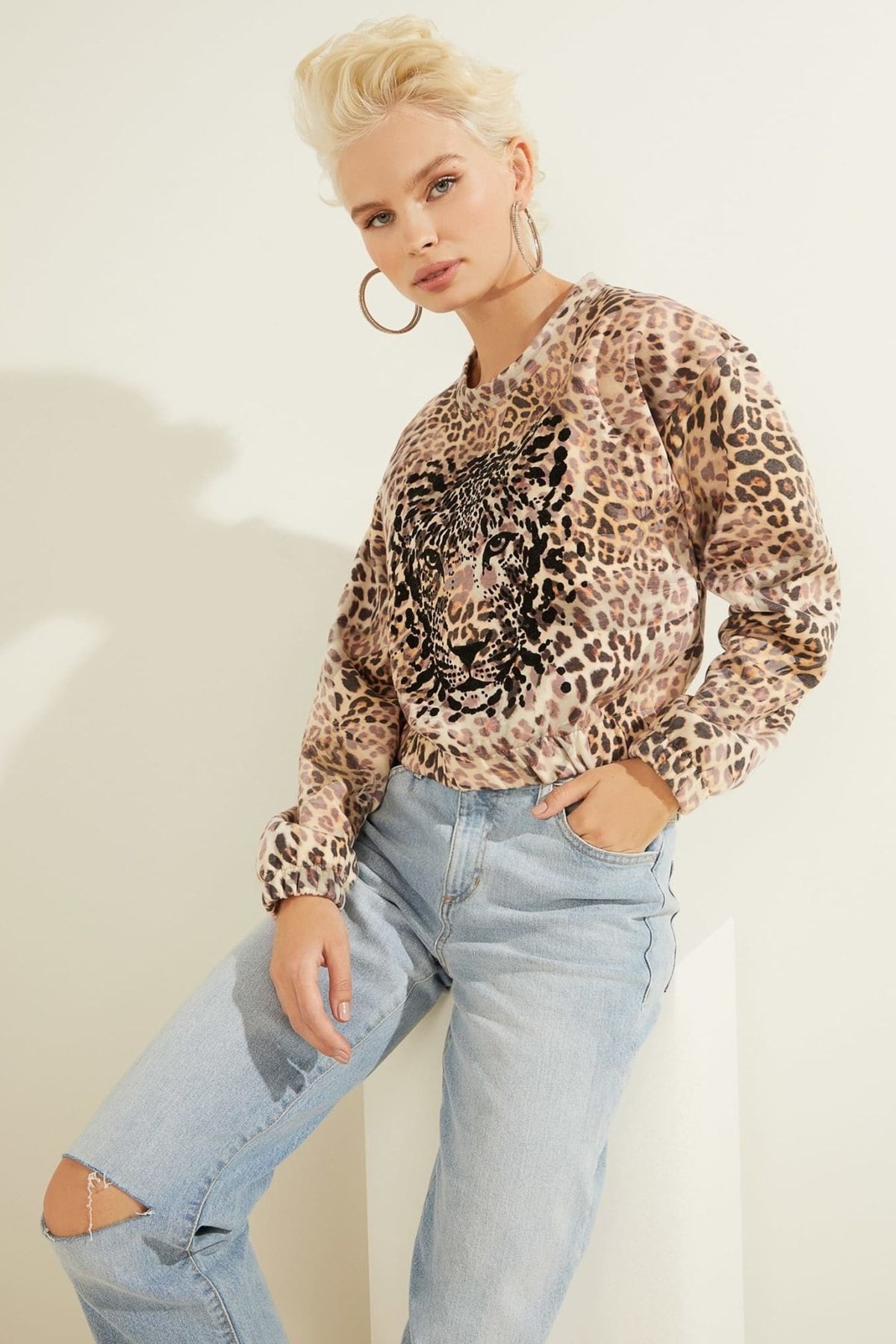 Guess Sweatshirt Braun Regular Fit Fast ausverkauft