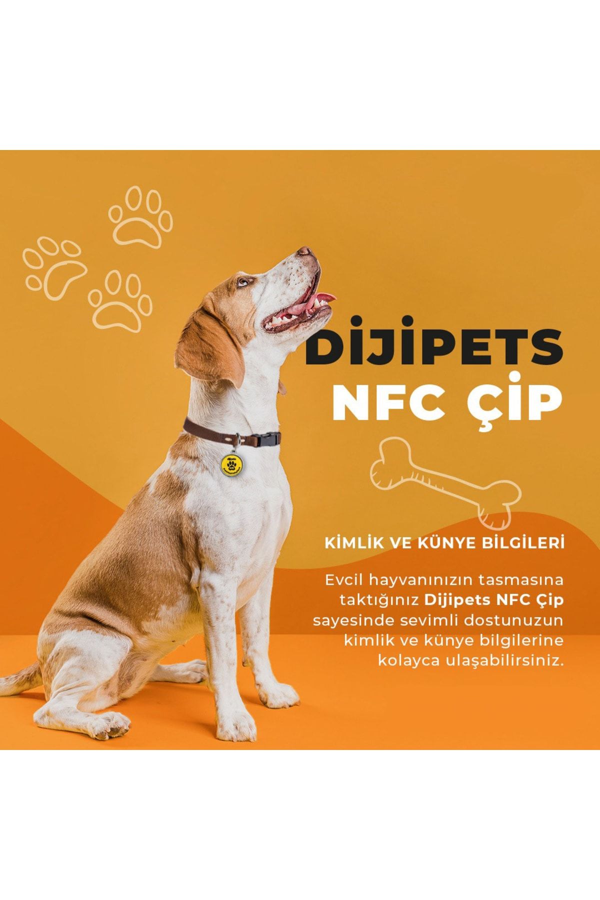 MVG Store-Dijipet Paw Friendly Smart Leash Digital Imprint and Location Information (End to Give a Loss) 4
