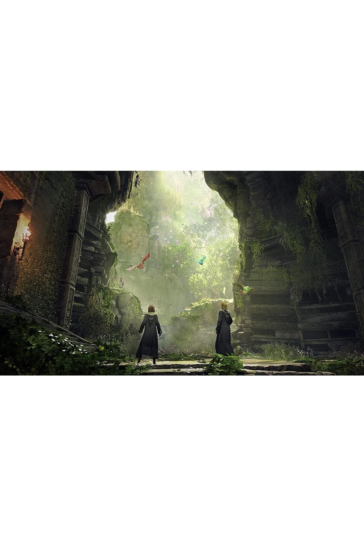 Harry potter hogwarts deals legacy ps4
