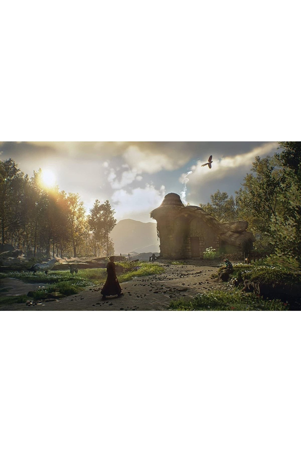 Warner Bros Hogwarts Legacy Ps4 Bandroll G venlik eritli