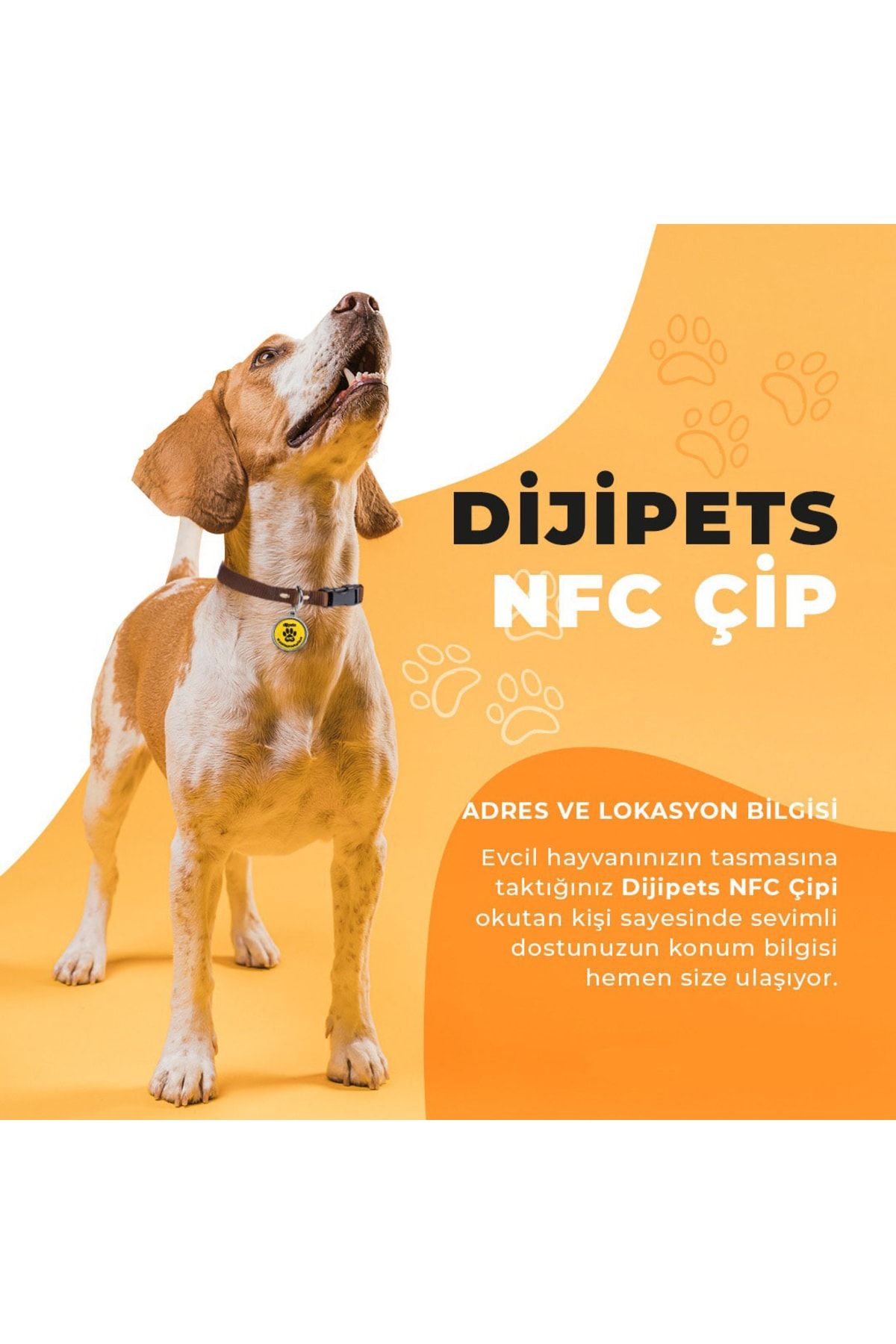 MVG Store-Dijipet Paw Friendly Smart Leash Digital Imprint and Location Information (End to Give a Loss) 6