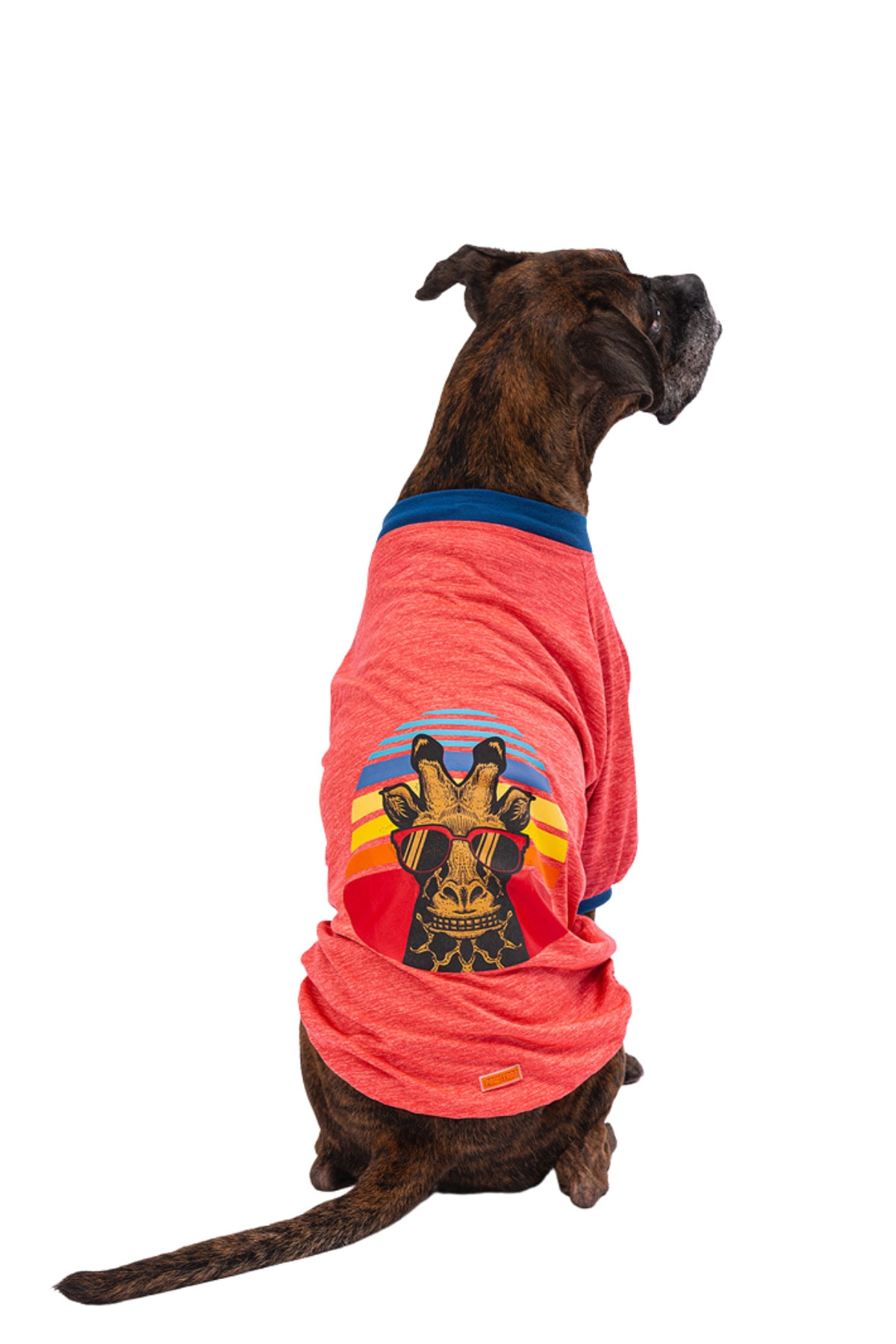 Pawstar Nar Çiçeği Rengi Orta Ve Büyük Irk Köpek Sweat/kıyafet Fiyatı ...