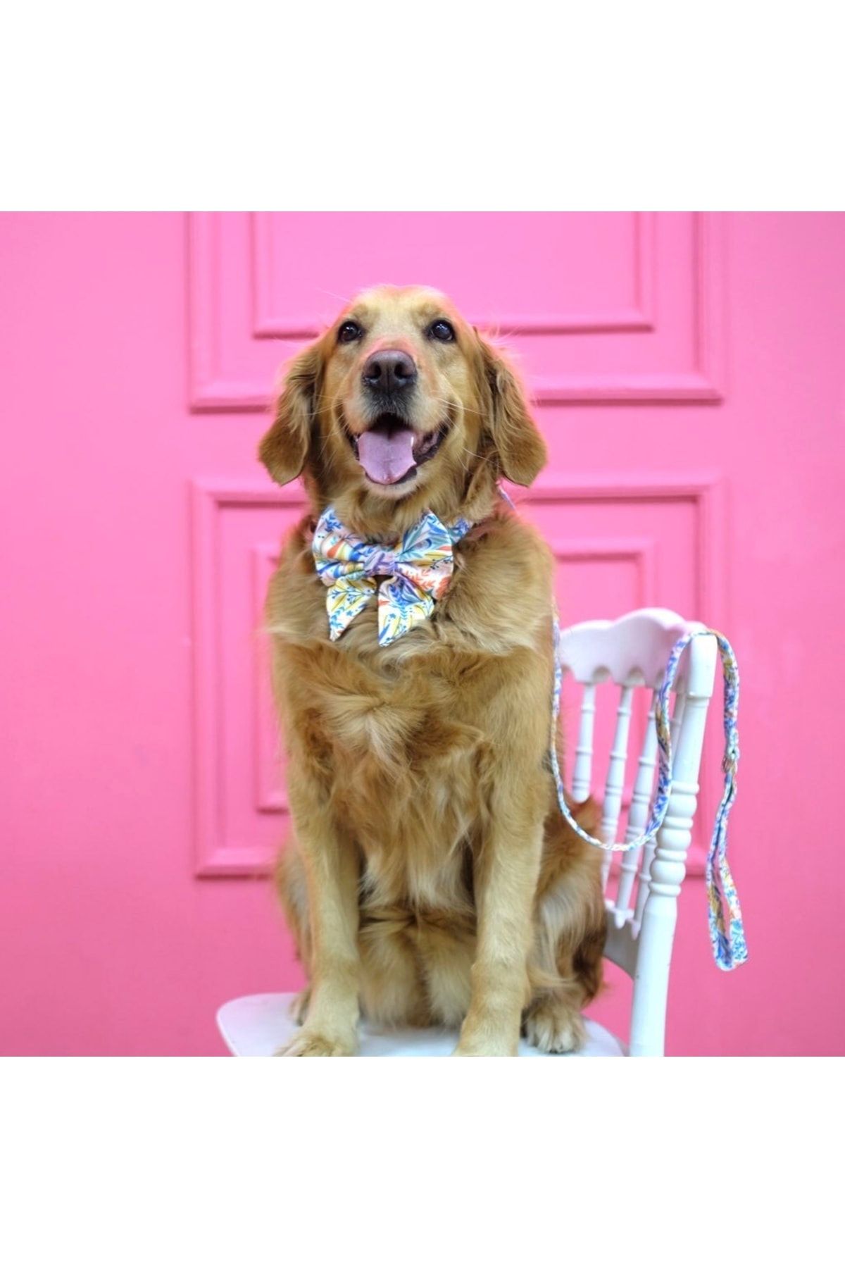 Lusi Doog-Flower Patterned Dog Walking Strap Dog Leashing (WIDTH OPTIONAL) 3