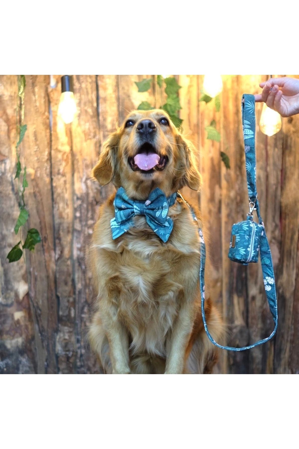 Lusi Doog-Forest Themed Dog Leash Dog Leash (WIDTH OPTIONAL) 5