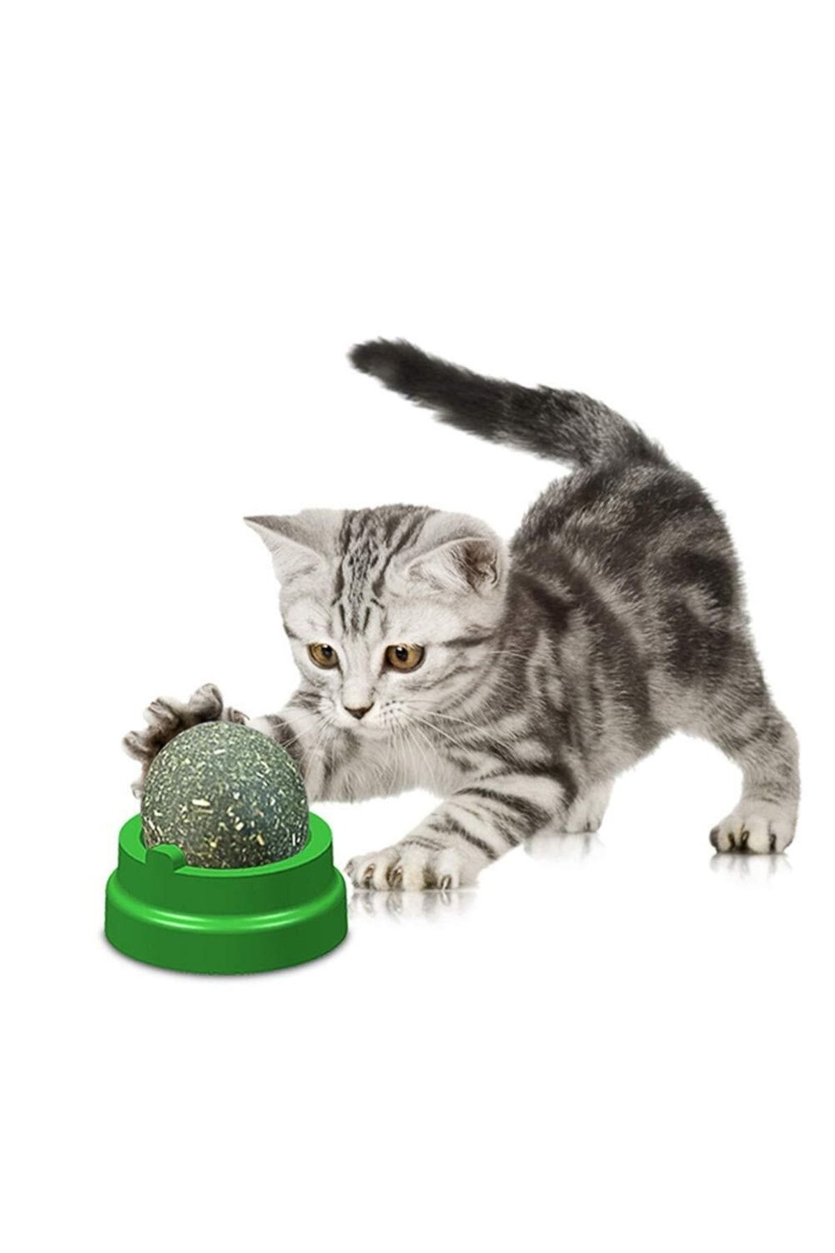 Купить кошачью мяту на стену. Кошачья мята шарик. Игрушки для котов. Игрушка кот. Мятный шар для кошек.