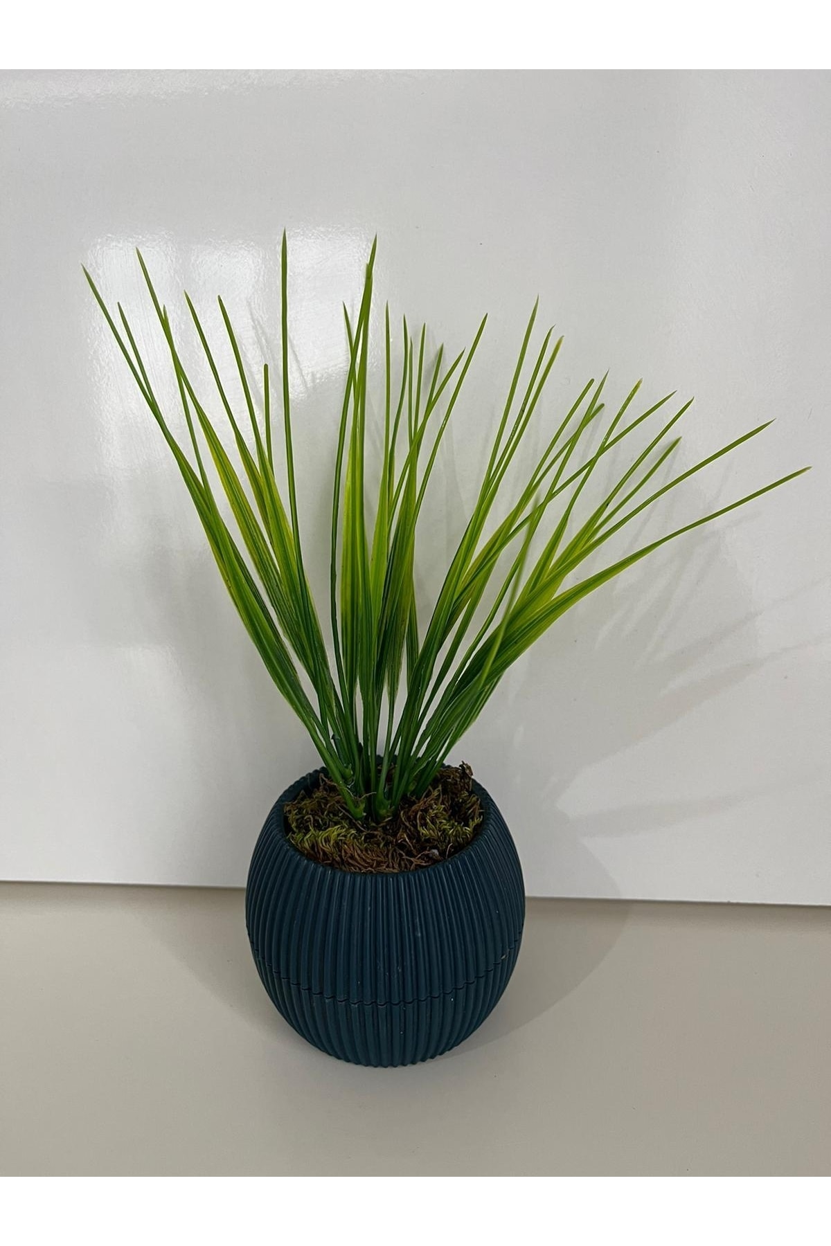 Artificial Flower Reed Grass Bundle in Mini Flower Pot Real Mossy Mini Flower Pot Arrangement