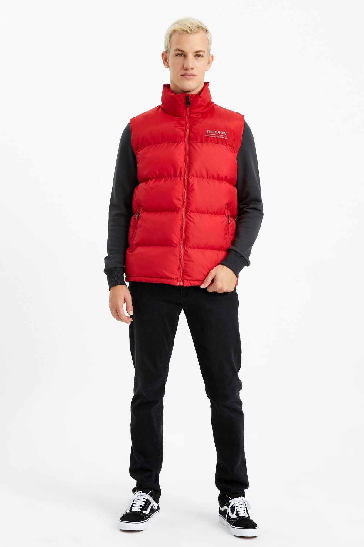 Red north best sale face vest mens