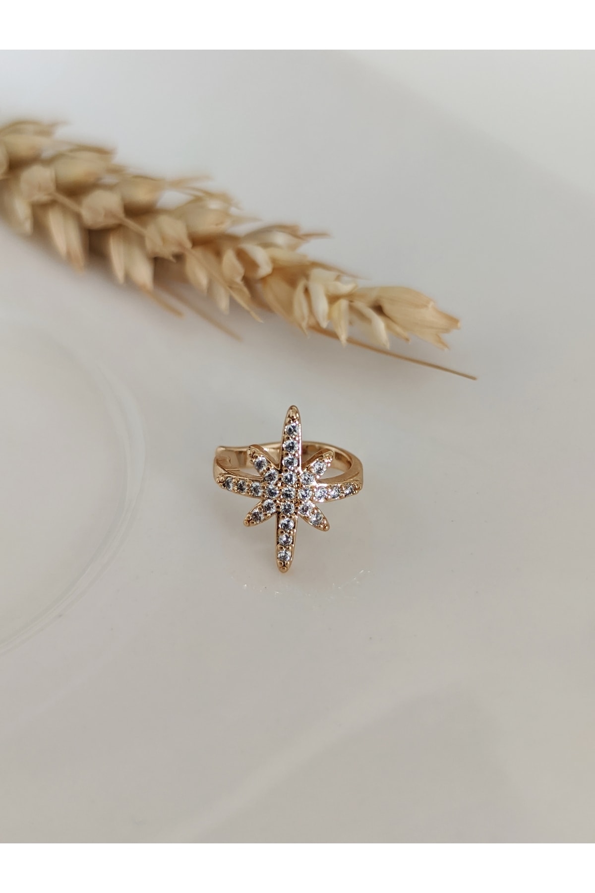Gold Zirkon Taşlı Kutup Yıldız  Kıkırdak Küpe