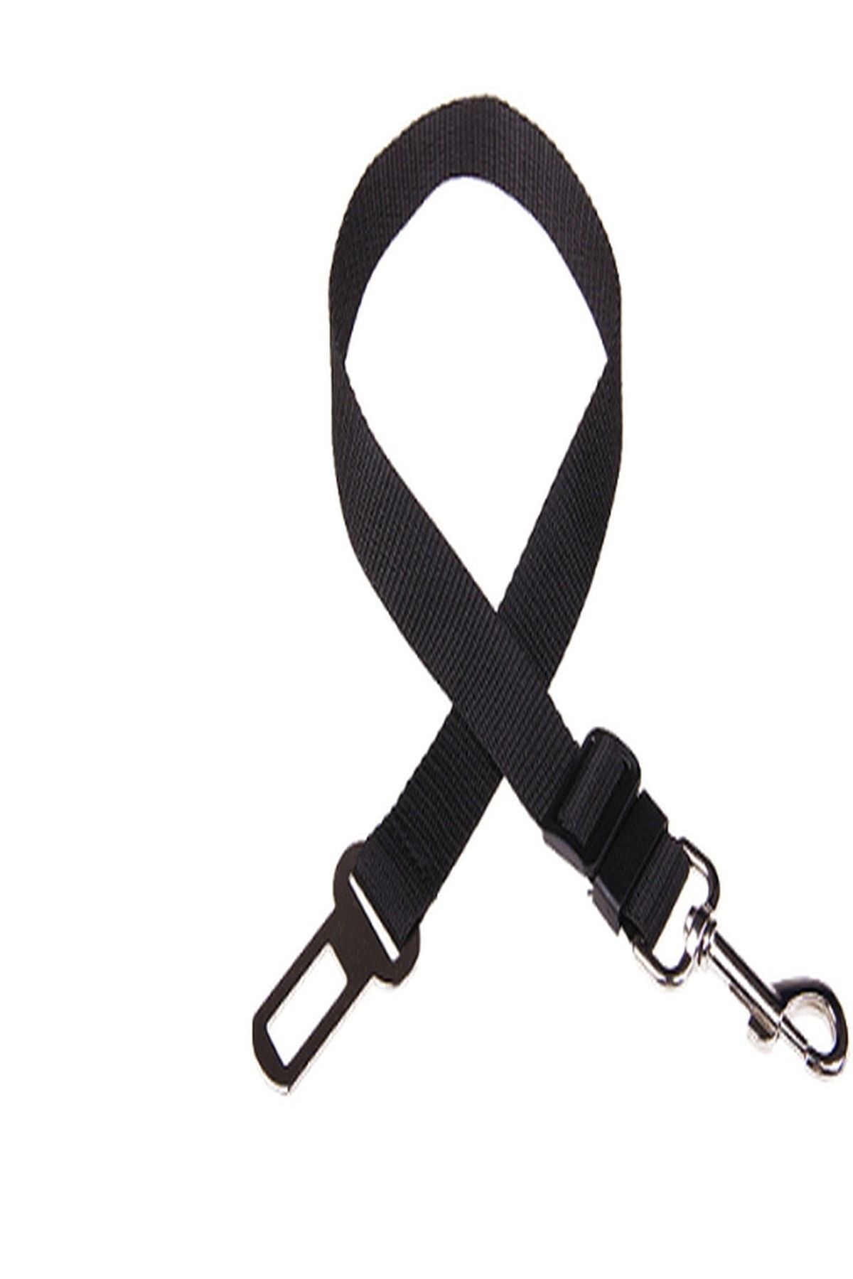 zasya AVM Dog Collars Seat Belt Collar Trendyol
