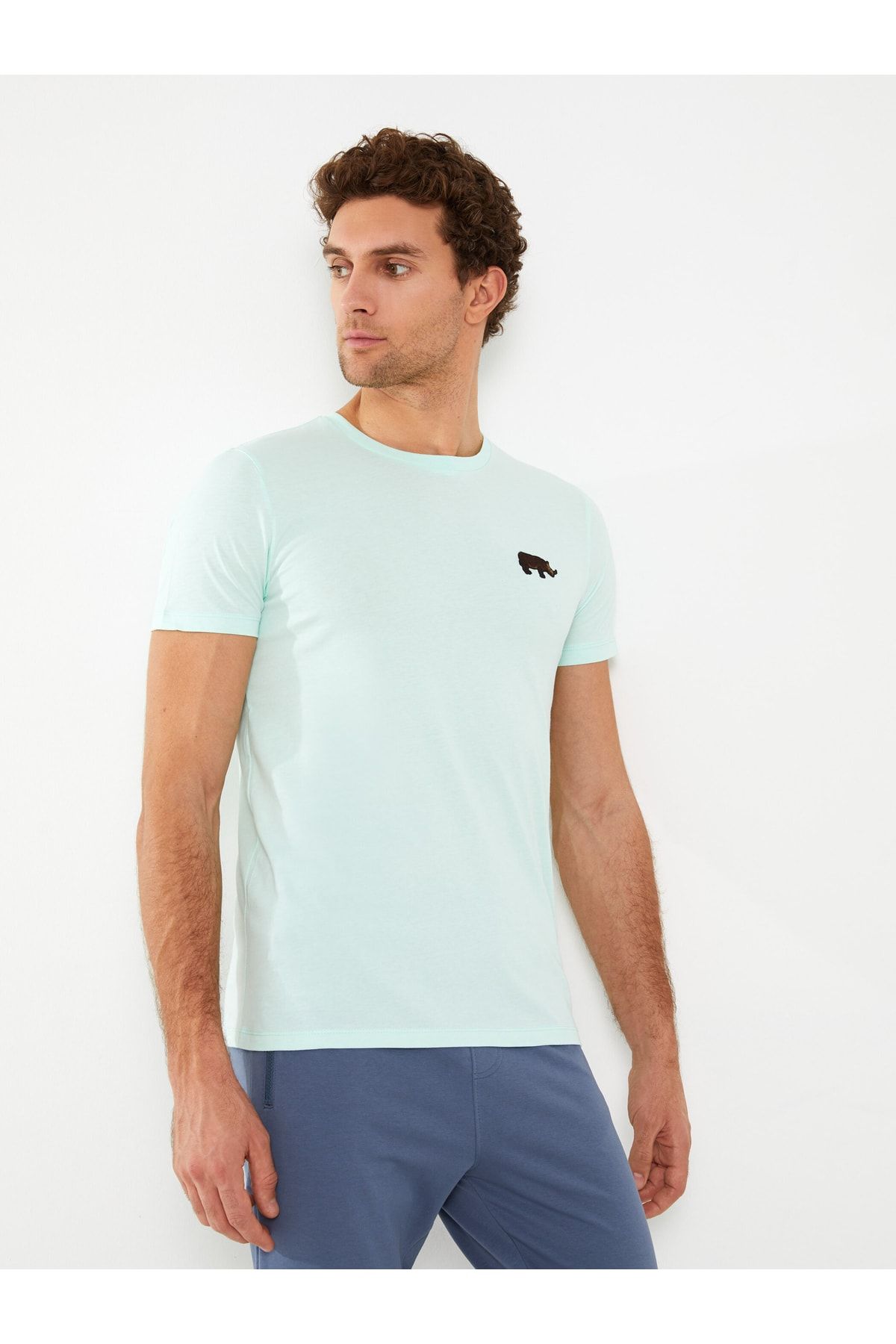 LC Waikiki T-Shirt Grün Regular Fit