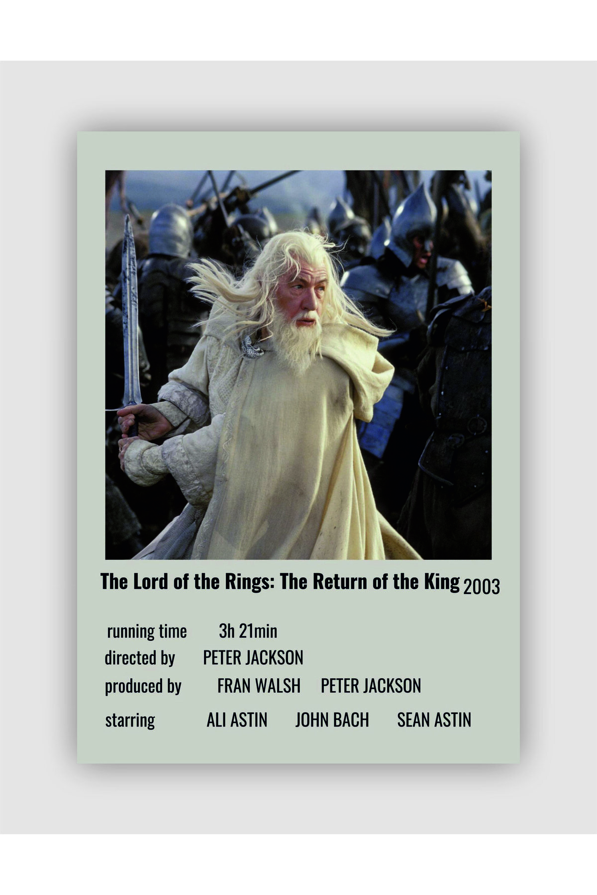 The Lord Of The Rings: The Return Of The King Movie Info Card Wall Poster