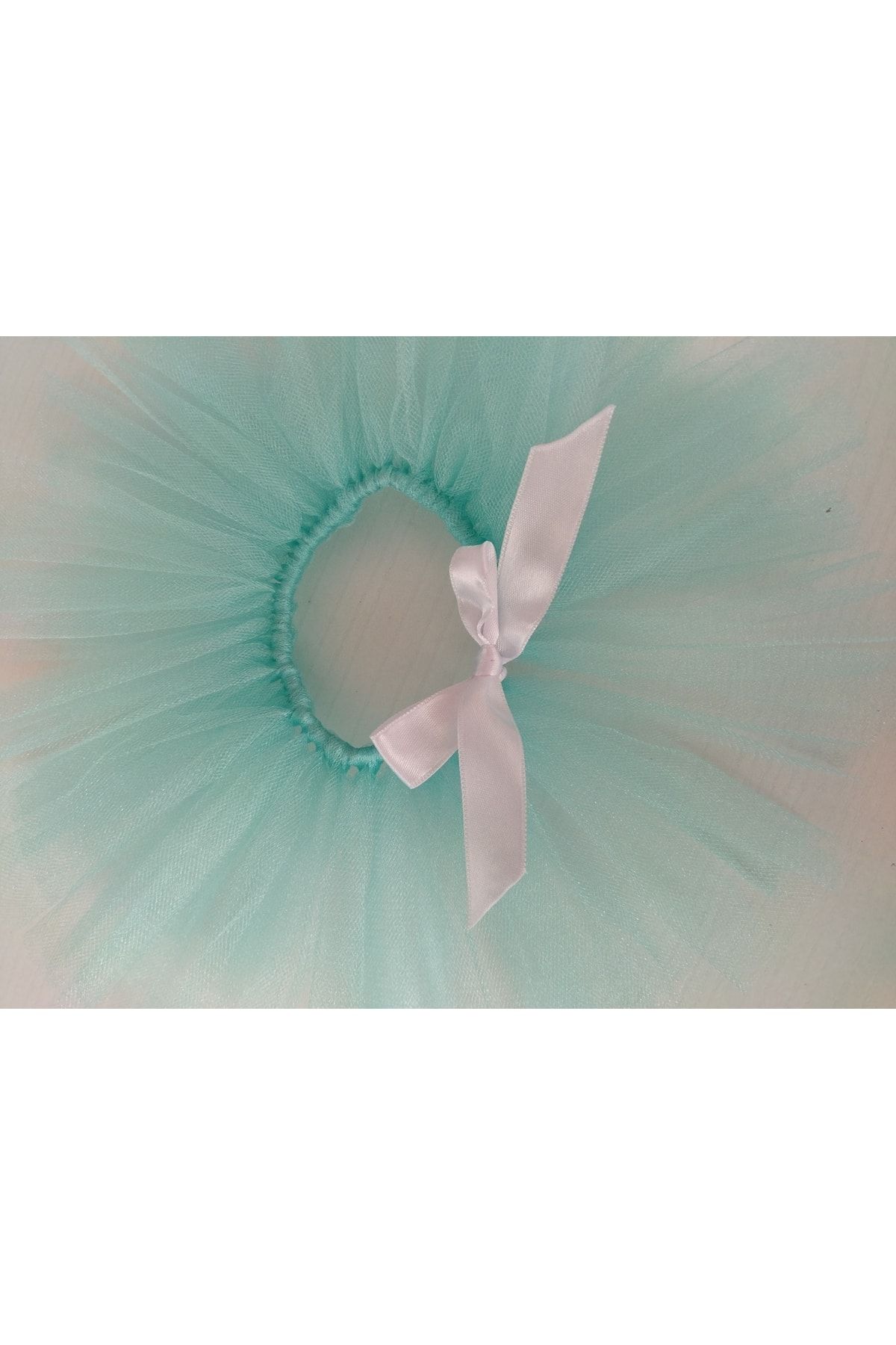 Canbutik-Water Green Cat Dog Tutu Skirt 2