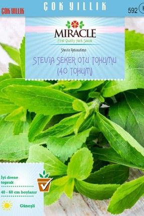 Doğal Stevia Şeker Otu Tohumu (40 Tohum) HJMPRSY8