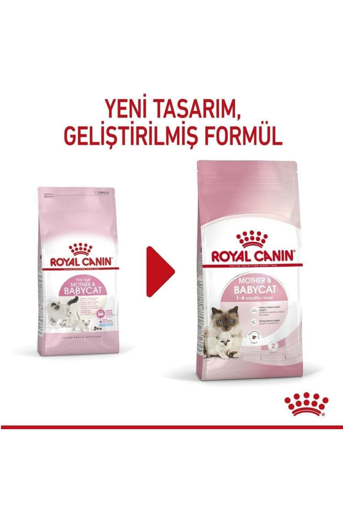 Royal canin baby cat 34 discount