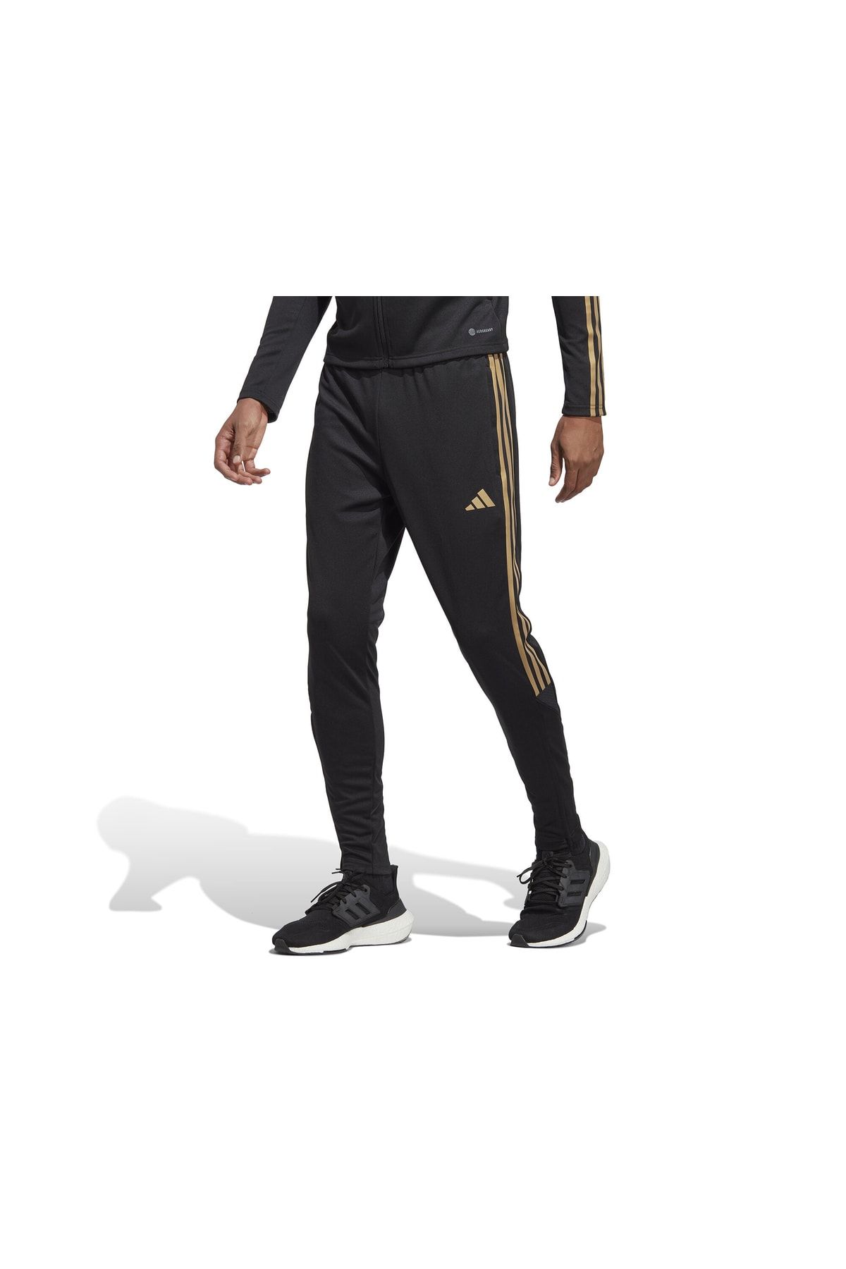 شلوار ورزشی فوتبال مردانه Tiro23 Pnt Ref Hr7276 مشکی adidas