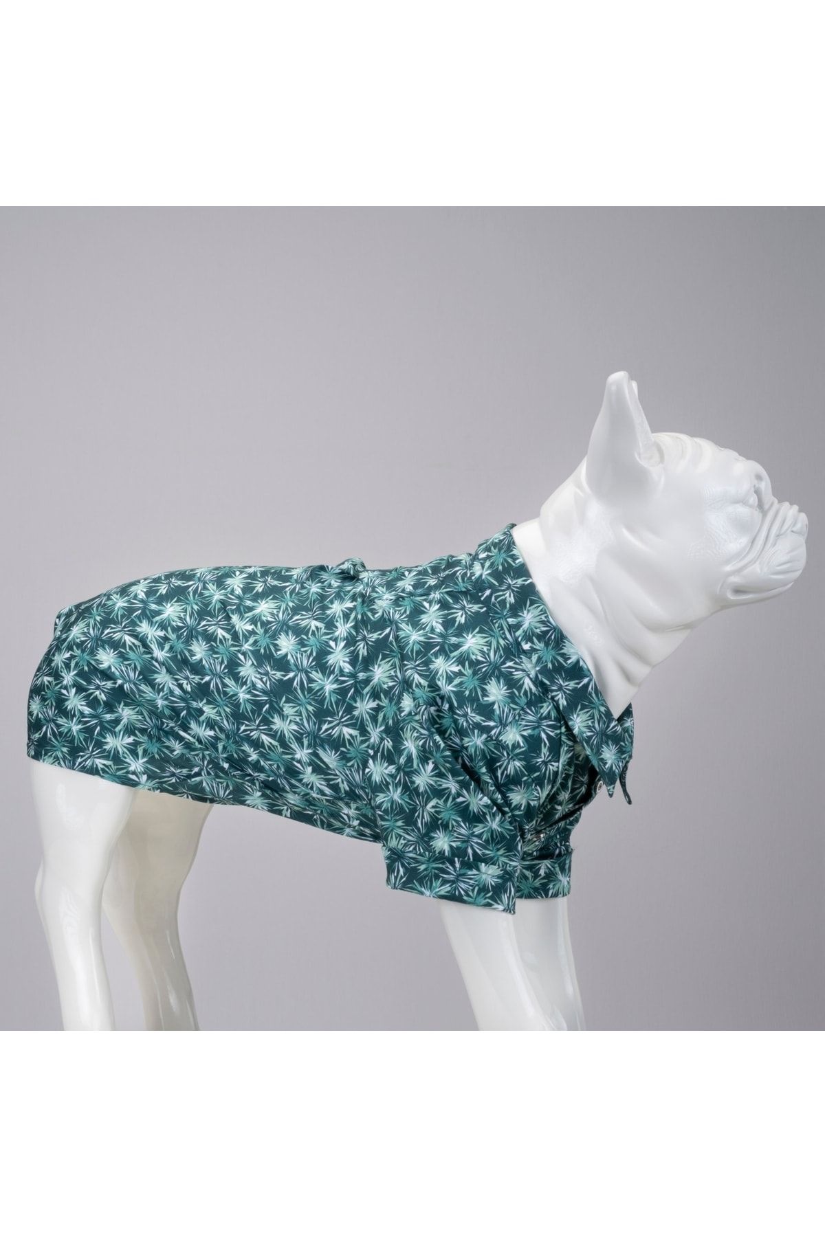 Pet clearance dog clothes