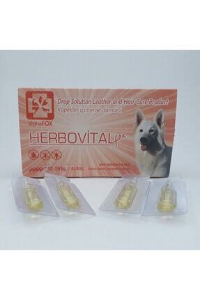 Alpha Fox Kopekler Icin Ense Damlasi 20 40 Kg Herbovitalfox Trendyol
