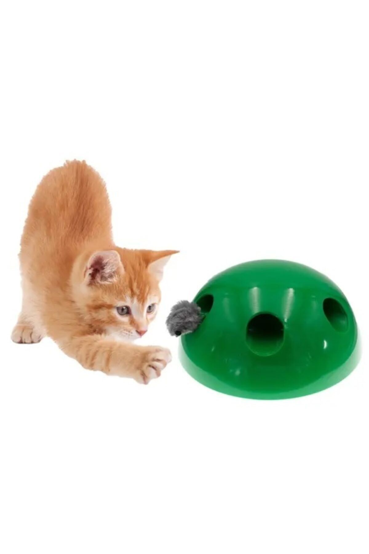 Pet cat toy hotsell