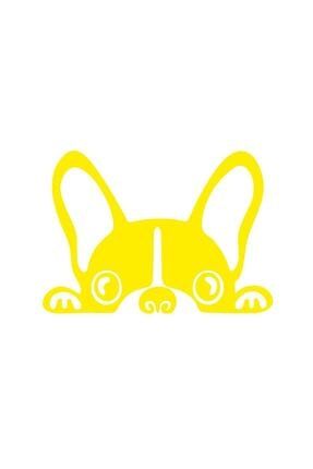 pitbull kopek sticker 00435 10x7 5 cm