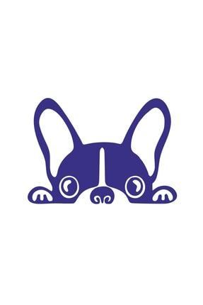 pitbull kopek sticker 00435 10x7 5 cm
