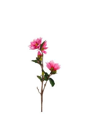 Magnolia Yulan Fuşya Dal Çiçek - 101Cm 367289