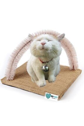 pet zoom petzoom catnip tozu hediyeli