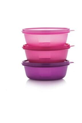 tupperware seker kaplar 300 ml 4 lu