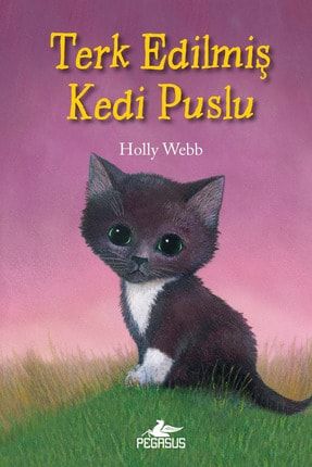 Terk Edilmiş Kedi Puslu - Holly Webb 532996