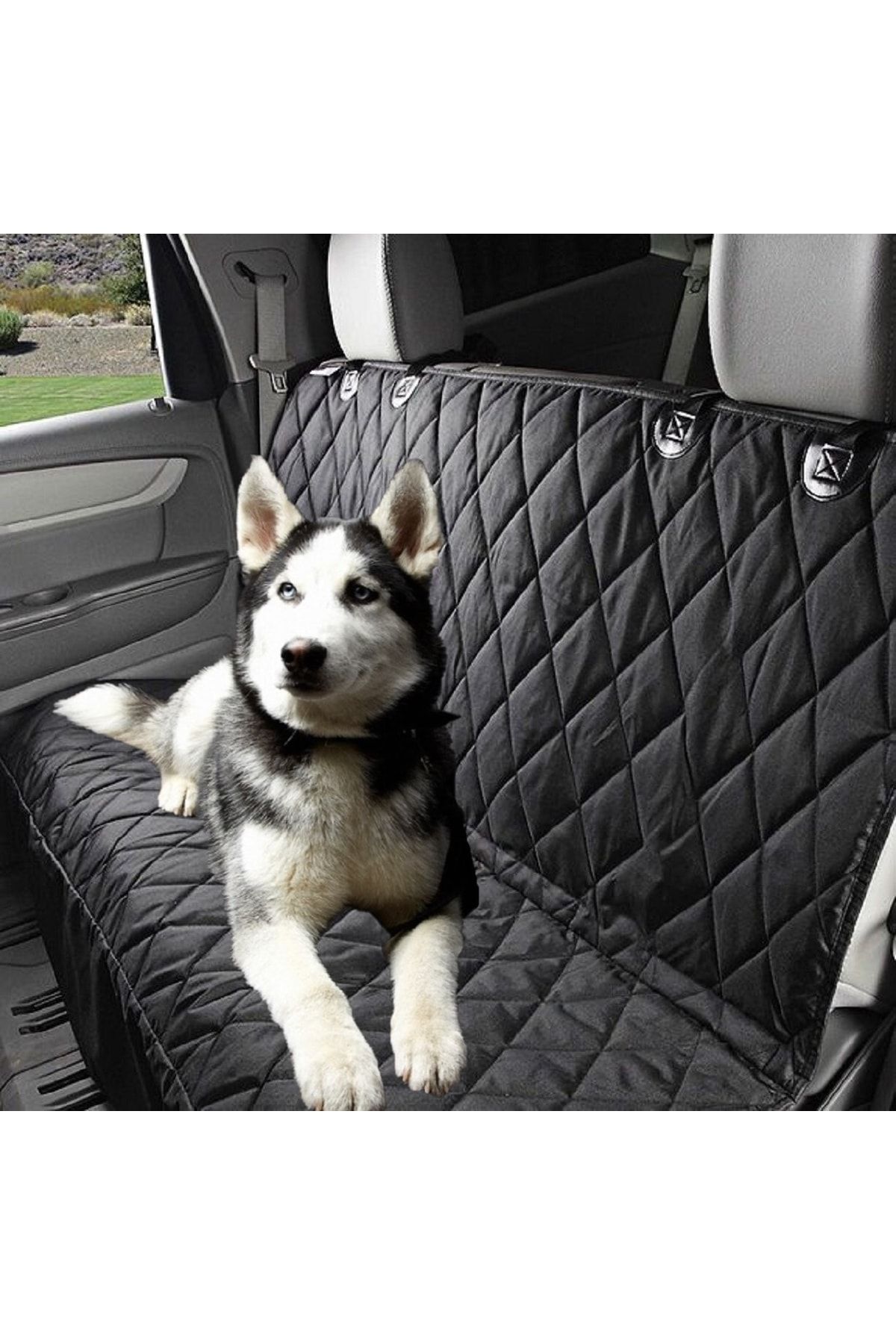 Pet cover for car back seat hot sale