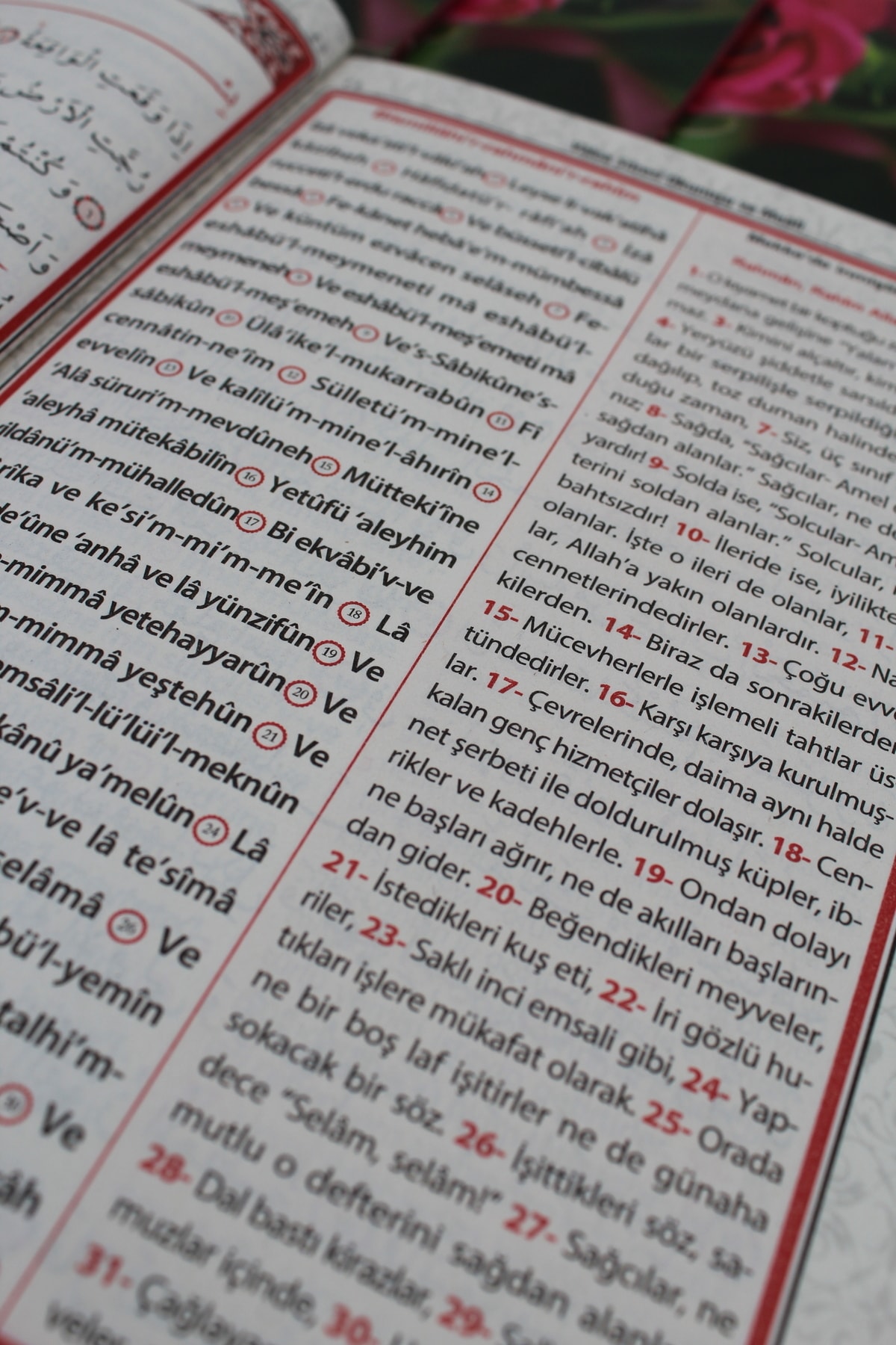 Merve Yayınları Hediyelik 10 Adet Sesli Yasin-i Şerif Okunuşlu Ve Mealli Orta Boy(16x24cm) fotoğrafı 6 (önizleme)