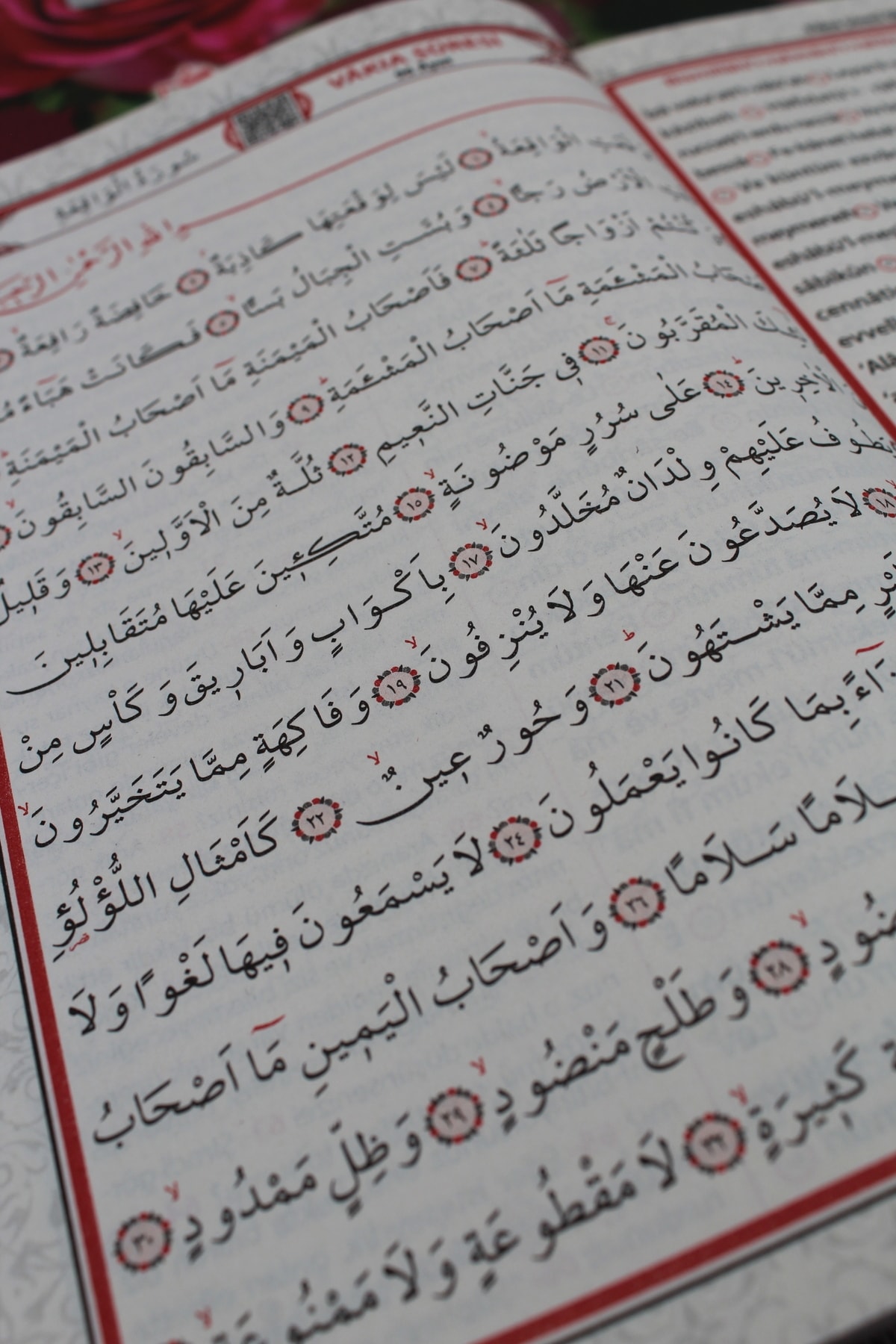 Merve Yayınları Hediyelik 10 Adet Sesli Yasin-i Şerif Okunuşlu Ve Mealli Orta Boy(16x24cm) fotoğrafı 5 (önizleme)