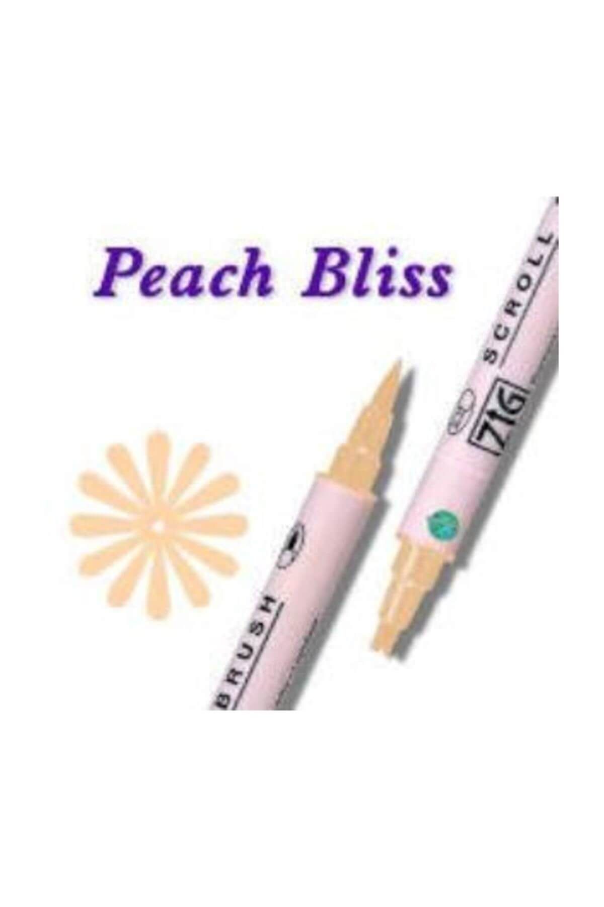 Zig-Scroll & Brush Double Line and Brush Tip Calligraphy and Shading Pen 071 Peach Bliss 2