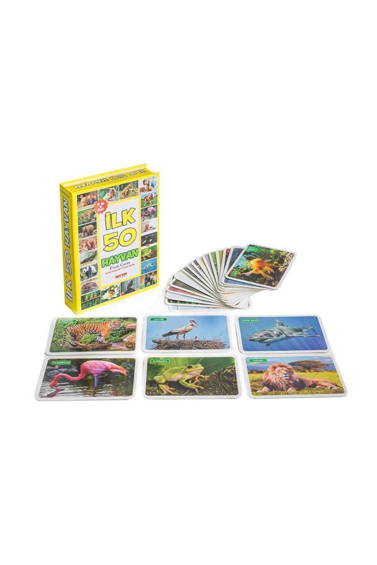 abnturk Diytoy Flash Kart Yaşam Alanlarında Ilk 50 Hayvan fotoğrafı 2 (önizleme)