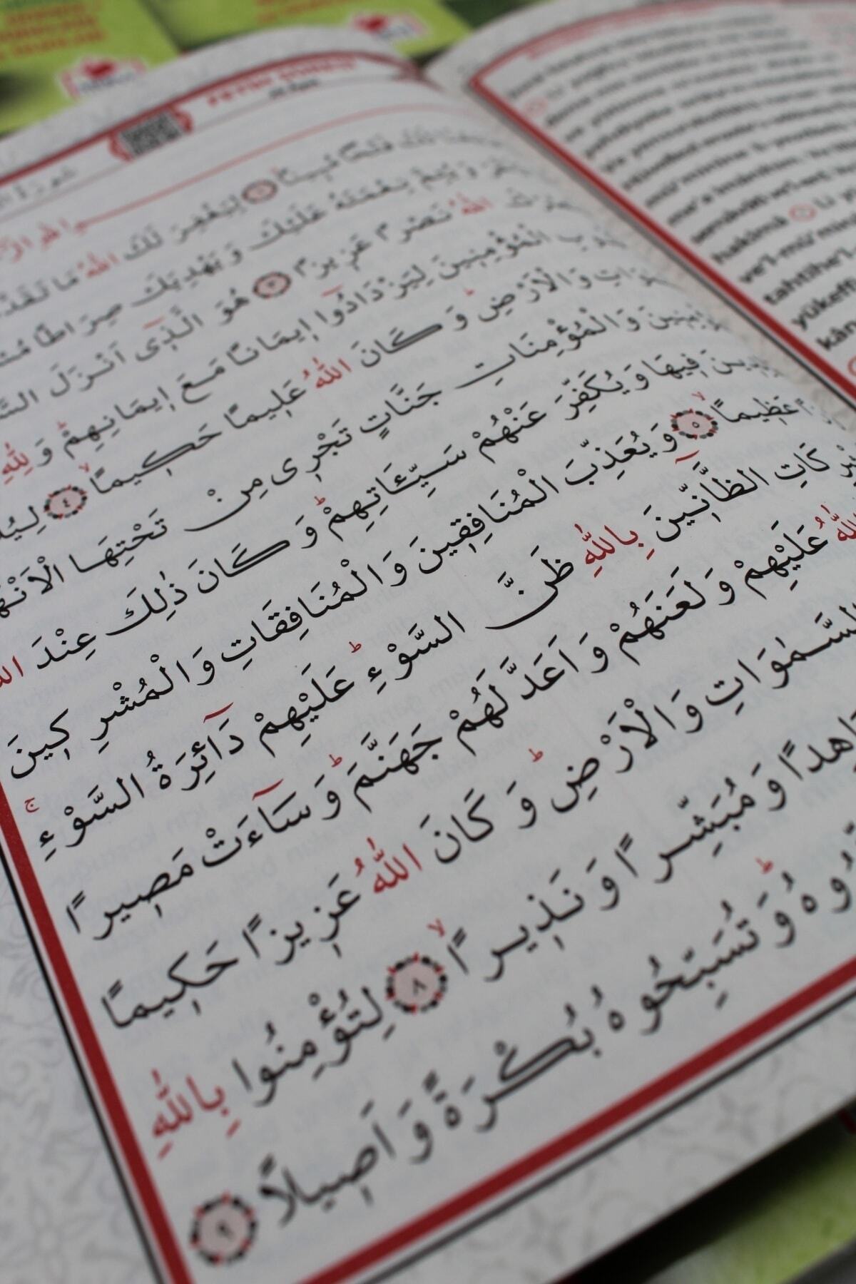 Merve Yayınları Hediyelik 10 Adet Sesli Yasin-i Şerif Okunuşlu Ve Mealli Orta Boy 64shf(17x24cm) fotoğrafı 5 (önizleme)