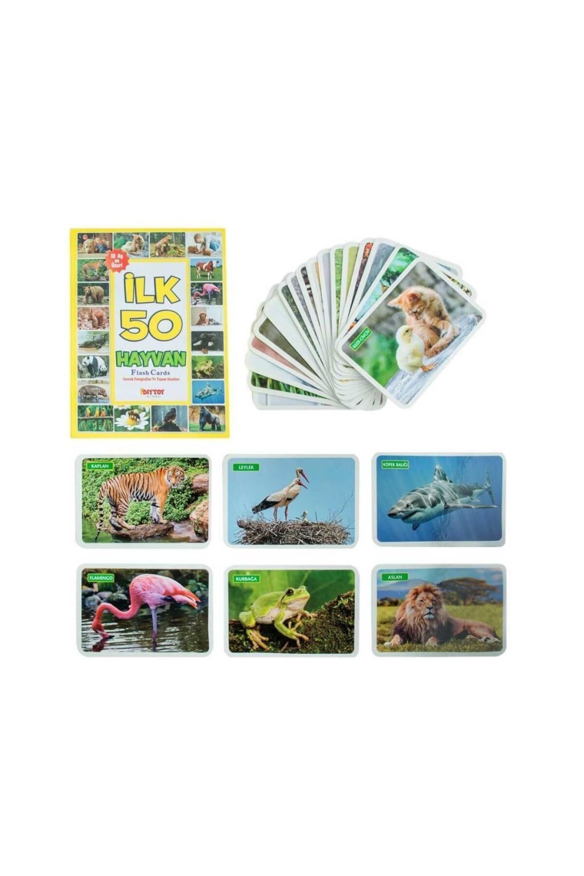 abnturk Diytoy Flash Kart Yaşam Alanlarında Ilk 50 Hayvan fotoğrafı 3 (önizleme)