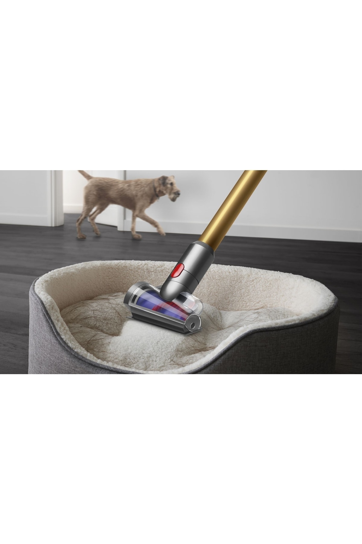Dyson V12 Detect Slim Absolute Купить Казань